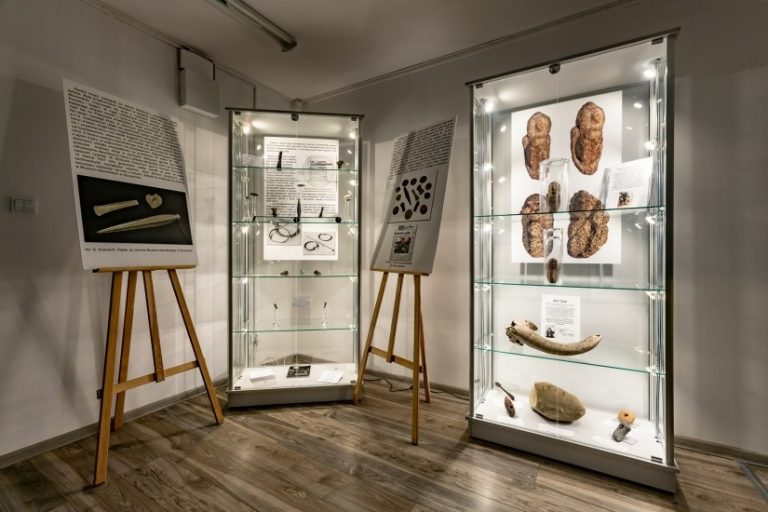 Muzeum Historii Ziemi Kamieńskiej