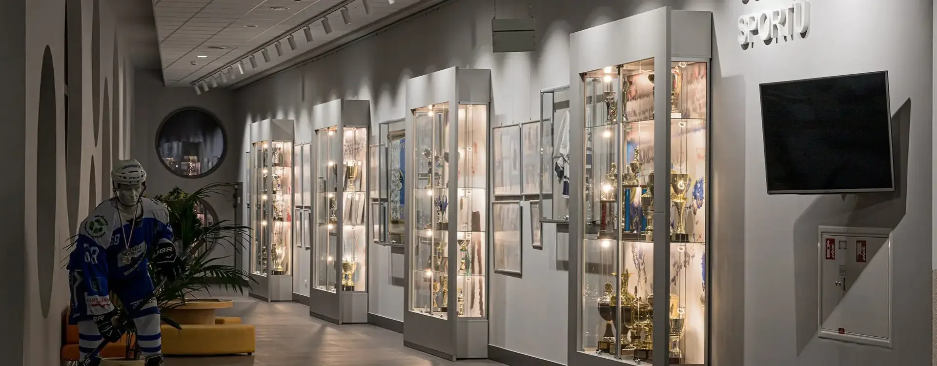 gablota szklana - gabloty wystawiennicze, muzealne, wystawowe, ekspozycyjne