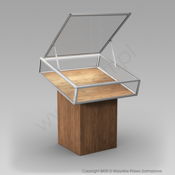 drzwi uchylne otwierane za pomocą siłowników